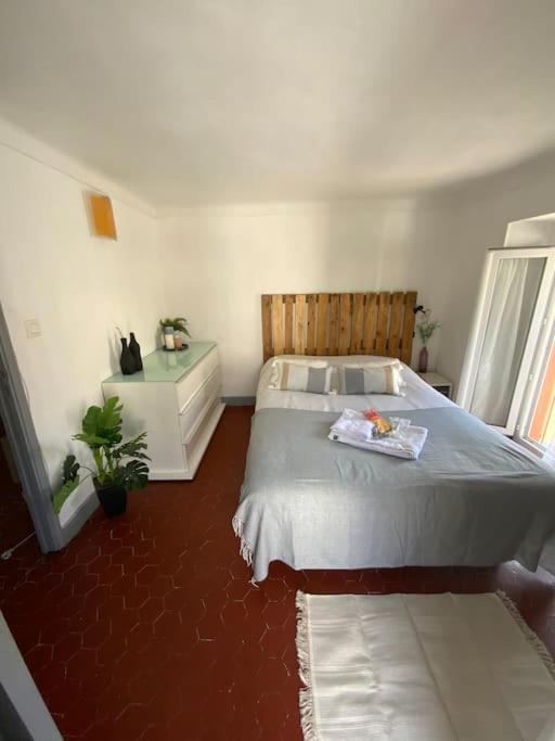 ניס Appartement Typique Nicois En Plein Centre Ville מראה חיצוני תמונה